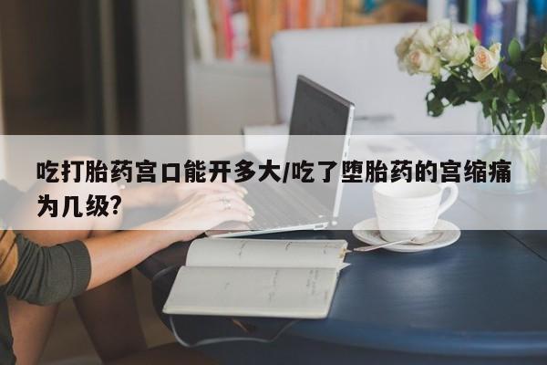私人卖打胎药微信号，吃打胎药宫口能开多大/吃了堕胎药的宫缩痛为几级?
