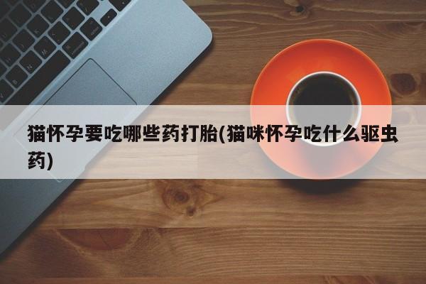 私人卖打胎药微信号，猫怀孕要吃哪些药打胎(猫咪怀孕吃什么驱虫药)