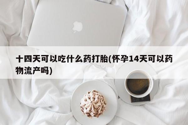 私人卖打胎药微信号，十四天可以吃什么药打胎(怀孕14天可以药物流产吗)